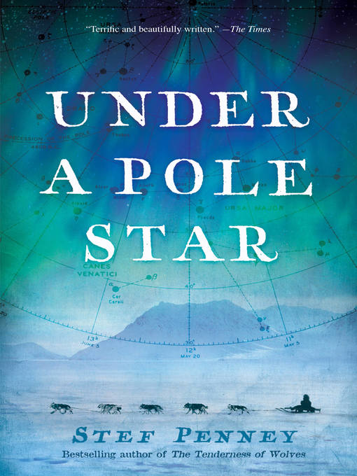 Title details for Under a Pole Star by Stef Penney - Wait list